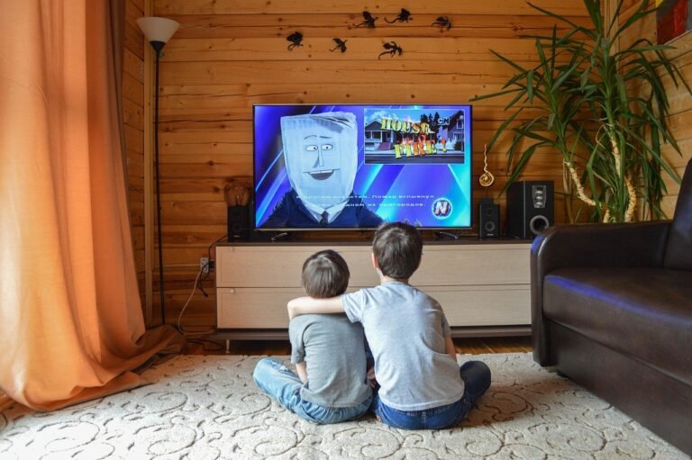 Como assistir canais fechados de graça na TV
